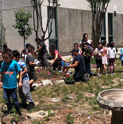 students planting garden